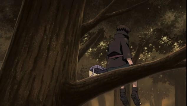 Assistir Naruto Shippuden 317 Legendado Online