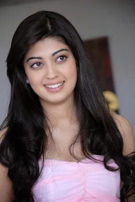 Pranitha Subhash, Pranitha Subhash Images, Wallpapers, Chan Kitthan Guzari Actress Pranitha Subhash Images, Looks