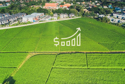 Sebelum Mulai, Simak Tips Sukses Investasi Properti Tanah