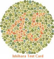 Test Buta Warna (Ishihara Test) Saat Sembuat SIM