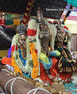 Aani,Lakshmi Narasimhar,Purappadu , Vahanam,Sri Theliya Singar, Yoga Narasimhar,Brahmotsavam ,Purappadu,Video, Divya Prabhandam,Sri Parthasarathy Perumal, Triplicane,Thiruvallikeni,Utsavam,