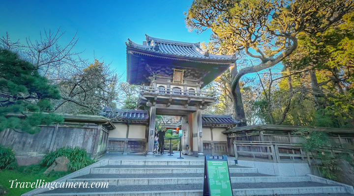 Step into a realm of serene beauty and cultural richness within the heart of San Francisco's Golden Gate Park — the Japanese Tea Garden. Nestled amidst lush greenery, vibrant blooms, and traditional architectural marvels, this enchanting oasis is a testament to the timeless elegance of Japanese culture. Join us on a journey through the winding paths and tranquil spaces of the Japanese Tea Garden as we explore the artistry, tranquility, and profound symbolism that make it a cherished destination for locals and visitors alike.