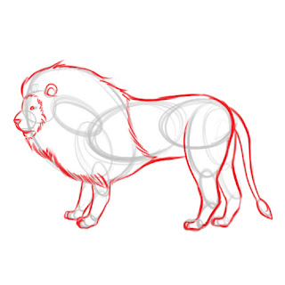 How to draw a Lion - step 8