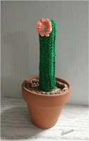 cactus tejido