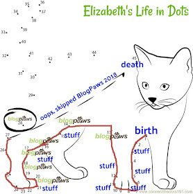 dot to dot diagram of a cat with labels