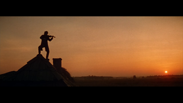 Fiddler on the Roof (1971) Damdaki Kemancı