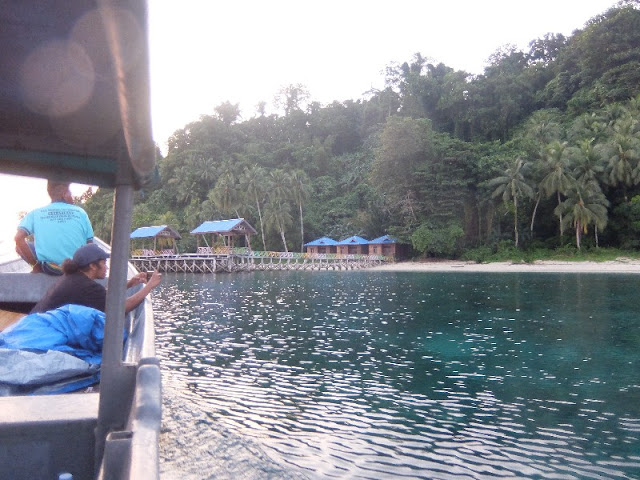 snorkeling holiday to Cendrawasih Nasional Park