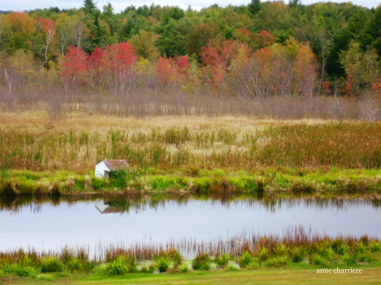 annecharriere.com, couleurs d'automne, 