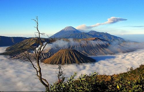 Mount Bromo Tour, Enjoy the Sunrise From an Altitude of 2,329 m !!