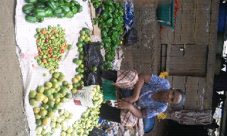 Tengeru market