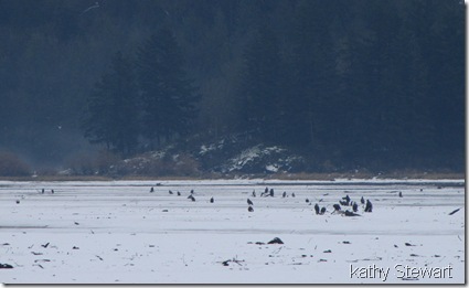 Out on the flats