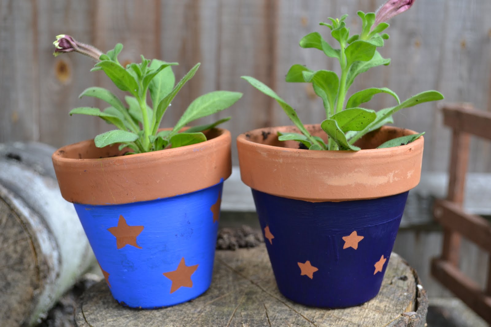 Kids Garden Activities Painting  Pots  Bunches of Herbs 