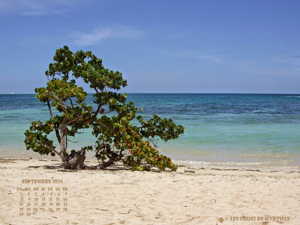 Fond d'écran #3 de SEPTEMBRE 2014, avec et sans le calendrier du mois - Martinique (photo août 2008)