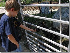 State Fair 2011 004