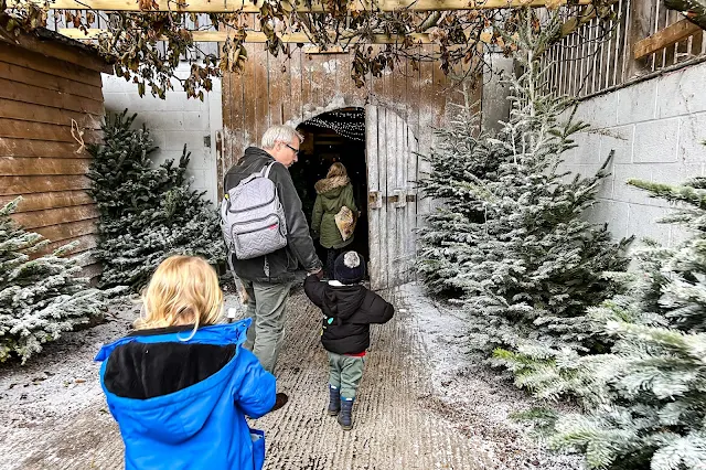 Going through a snowy walk way at The Father Christmas Experience Essex