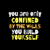 You Are Only Confined By The Walls You Build Yourself