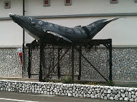 Whale watching is famous here at Muroto City