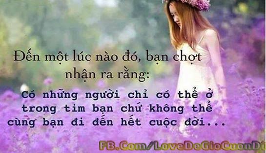  Giay bao ho lao dong 