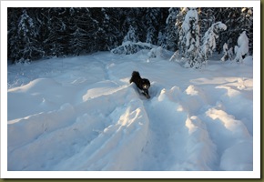 januar 046