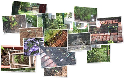 View album