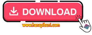 www.hanapiani.com