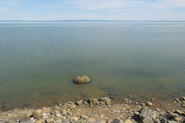 À bord du Train léger de Charlevoix : vue sur le fleuve Saint-Laurent 