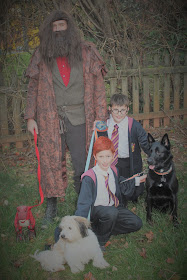 Harris Sisters GirlTalk: Harry Potter Family Costumes