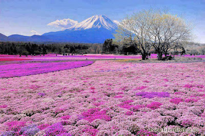 Mount Fuji,Japan