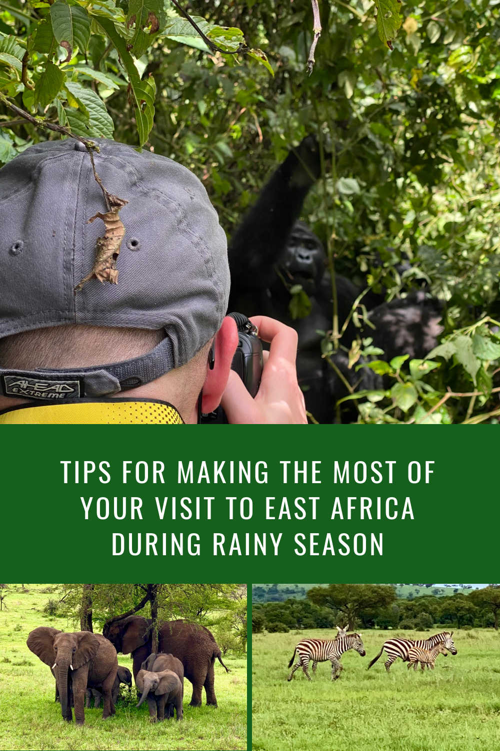 VISITING AFRICA DURING THE RAINY SEASON