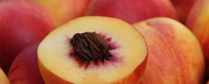  Ροδάκινο: Το φρούτο που «σκοτώνει» τα καρκινικά κύτταρα και προάγει τη μακροζωία