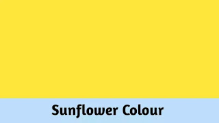 Sunflower colour