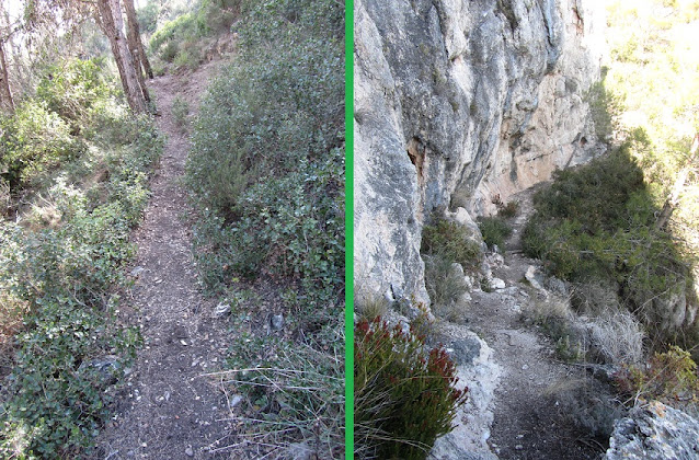 SERRA DEL MONTMELL (II) - corriol a la vessant sud de la Serra del Montmell