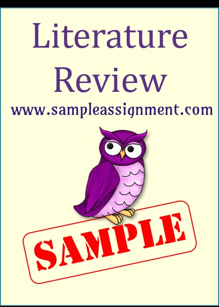 literature review assignment help