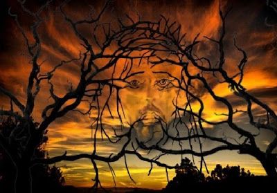 Hidden jesus picture in tree illusion