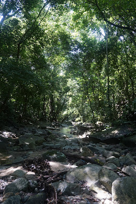 Sur le chemin du Pueblito