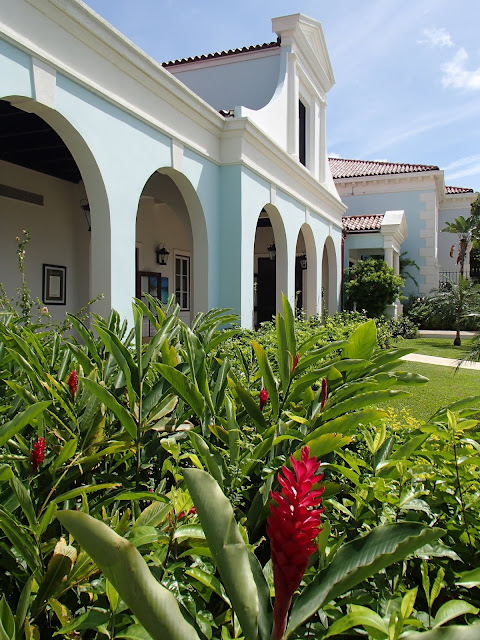 lobby and red ginger plants