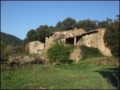 DSCF2125