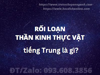 "Rối loạn thần kinh thực vật" tiếng Trung là gì?