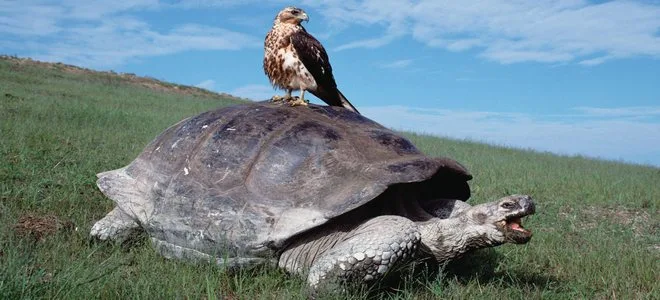 Galapagos National Park