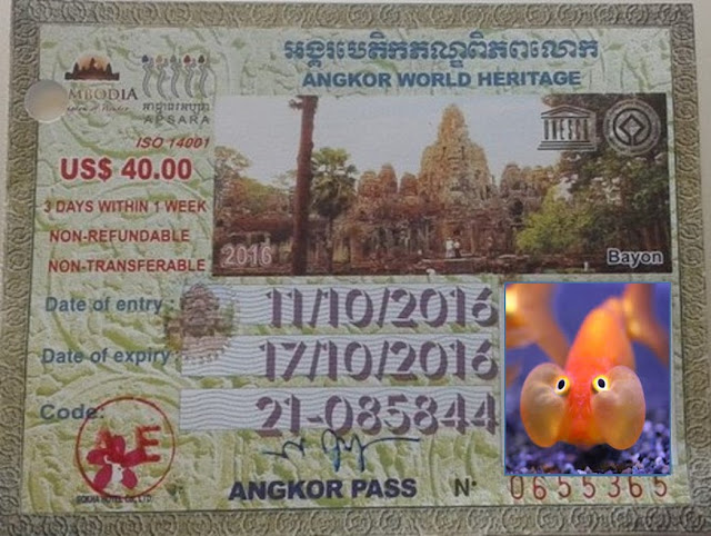 Angkor Wat , entrada para 3 días