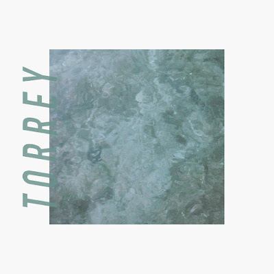 Torrey New 2024 Album