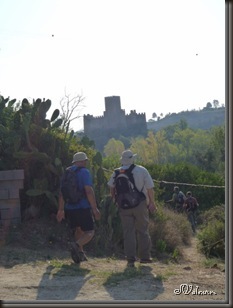 P1110367_13