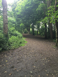 Trails in Craiglockhart Hill.