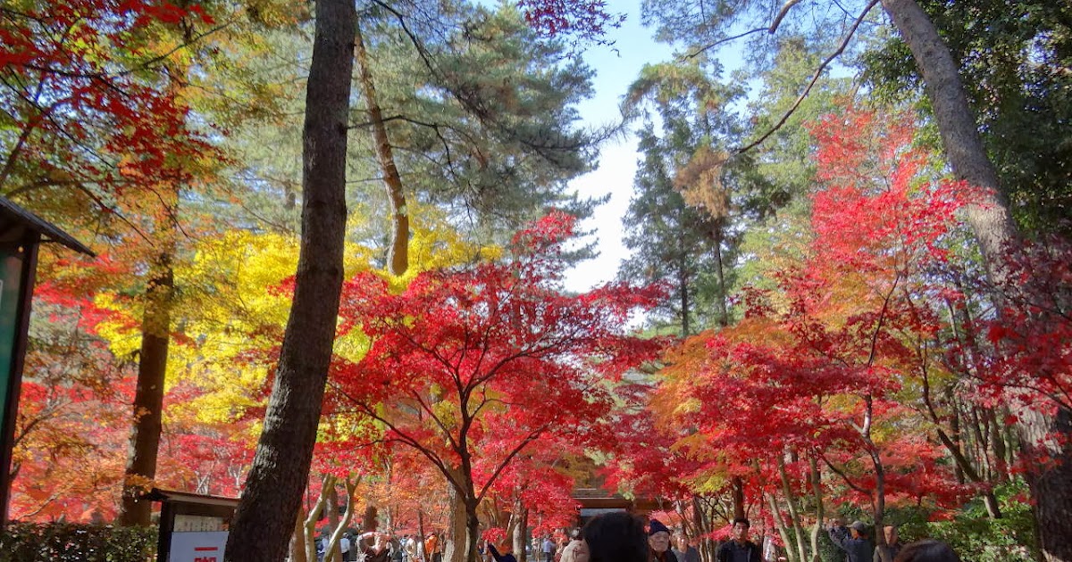 平林寺の紅葉 その1