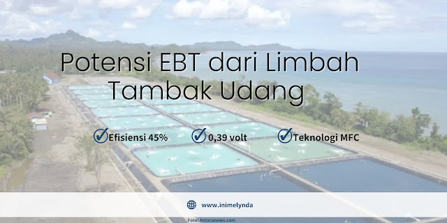 Potensi EBT dari Limbah Tambak Udang