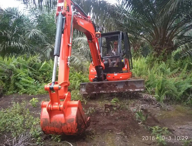 Kubota Mini Excavator U50-5S