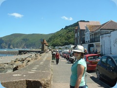 porlock july 2011 005