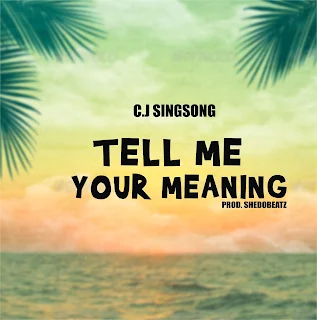 DOWNLOAD MP3: Tell Me Your Meaning - C.J Singsong