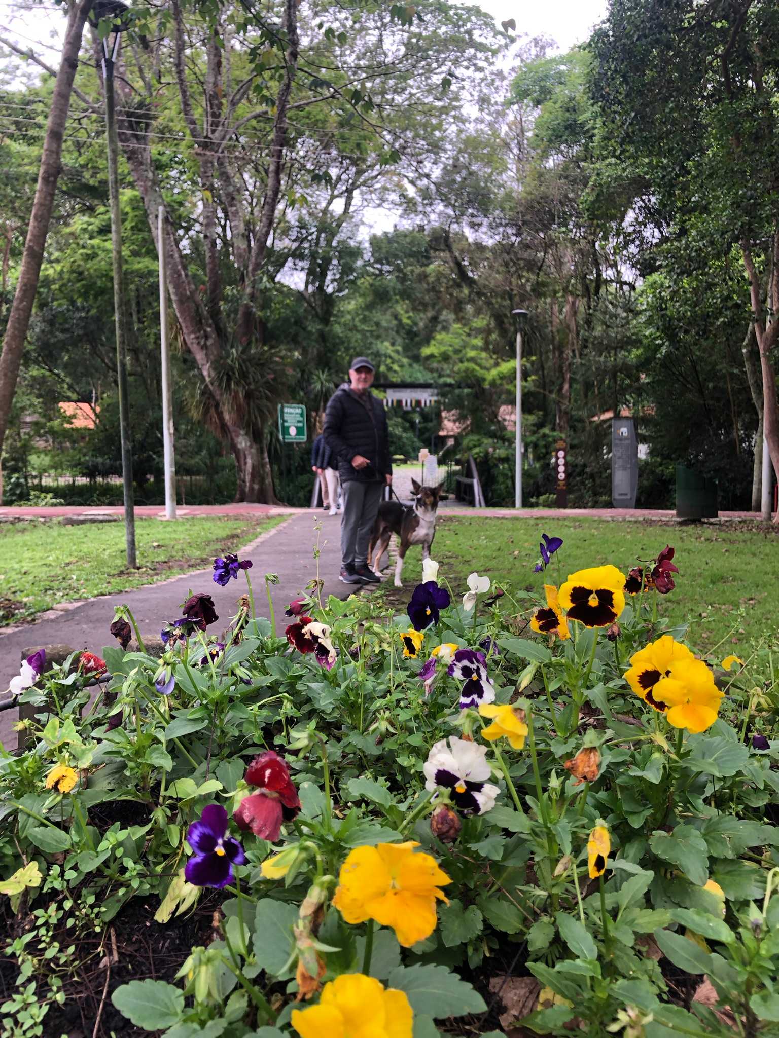 Bosque João Paulo II