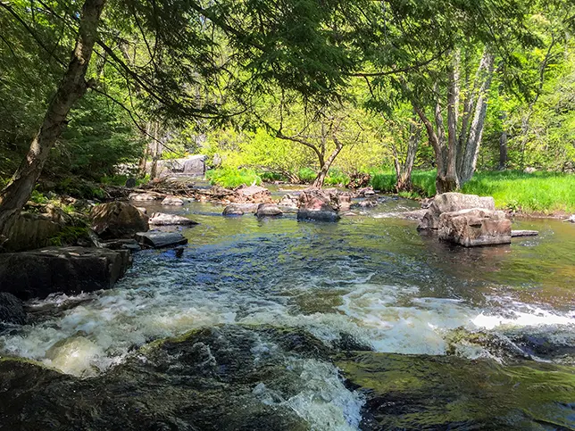 Eau Claire Dells - Antigo Wisconsin